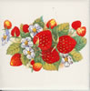 Strawberry Tile E5
