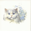 Cat Tile G3